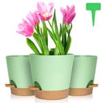 OFFCUP Plant Pots, 6pcs Plastic Plant Pots, 16.5cm Self Watering Plant Pots with Drainage Holes, Saucers and Reservoir, Suitable for Plants Indoor Modern Fashion Decorative Plastic Plant Pots (Green)