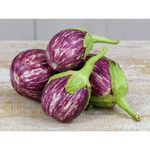 Gebdinsh Garden® Imported Purple Small Baingan/Brinjal/Eggplant Vegetables Seeds For Kitchen Gardening (Pack Of 2 Gram Seeds)