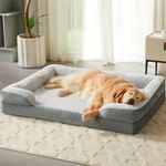 LEXTRO Orthopedic Large Dog Bed, So