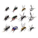 Realistic Fly Fishing Flies Set Dry Mosquito Bottle Flies Steelhead Rainbow Trout Handmade Fishing Lure kit Flyfishing (Realistic Mosquito & Bottle Fly Set of 12 Flies)