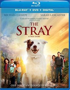 The Stray [Blu-ray]