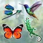 8 Pcs Screen Magnets Dragonfly Decorative Magnetic Flexible Double Sided Butterfly Hummingbird Gecko Retractable Screen Door Magnets Holographic Flexible Screen Door Decals for Screen Window