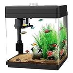 AQQA 5 L Aquarium Kits Desktop Small Fish Tank with Filter and Light (8 Colors Adjustable) Freshwater & Saltwater Betta Fish Tank Kit Office & Home Decor