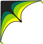 Mint's Colorful Life Delta Kite for Kids & Adults, Extremely Easy to Fly Kite, Best Kite for Beginner and Toddlers