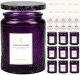 8.8OZ, 9 Pack Embossed Candle Jars for Making Candles, Glass Containers with Tin Lids and Sticker Label, Warning Label for Candle Making Candle DIY Craft (Purple)