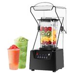 Commercial Smoothie Blender