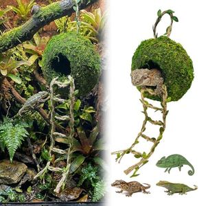 Moss Cave Hideout with Hanging Rope & Hemp Climbing Ladder – Natural Reptile Tank Decor Accessories for Crested Geckos, Chameleons, Tree Frogs, Leopard Geckos & Snakes. Terrarium & Vivarium Decor (6")