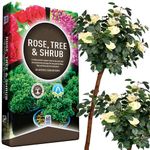 60L Rose Tree & Shrub Compost Gardening Soil Outdoor & Indoor Planting Small To Large Plants (60 Litre Bag)