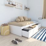 Studio Kook Tribe Engineered Wood Single Bed with Drawers (Finish Color - Moonshine White, Matte Finish)