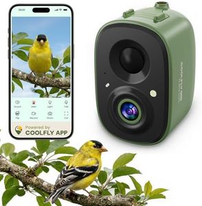 Smart Bird Camera Only, for Bird Feeder/Bath/House Bird Watching Live, 2.4G