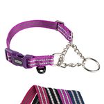 Petiry Half Choke Dog Collar with Side Release Buckle,Half Chain Anti-Pull Collar for Training and Safe Walks,for Extra Small Dogs Neck 28-33cm(Purple,Small)