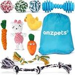 AMZpets Dog Toys for Large Dogs - Set of 10 Puppy Toys for Aggressive Chewers, Small and Medium Breeds - Strong Rope for Tug of War, Fetch and Teething - Training Accessories