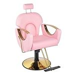 Dangvivi Pink Barber Chair Reclinin