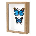 KAPIX Small Shadow Box 4x6 Picture Frame with Real Glass Deep Wood Memory Box Display case for Flowers,Ticket,Memorabilia,Keepsake,Medal,Art and Photos,Burlywood