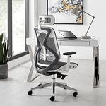 INNOWIN Berlin Ergonomic High Back Chair for Office & Home with Seat Slider Mechanism & Aluminum Base (Grey White, Nylon)