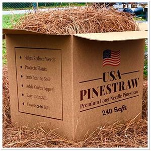 USA Pine S