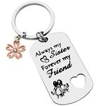 Sister Keychain Birthday Christmas Graduation Gifts for Women from Sister Brother Friend BFF Girls Always My Sister Forever My Friend Keyring Wedding Jewelry for Bride Maid of Honor Bridesmaid Gift