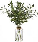 Avoik Artificial Plants Olive Branch in Glass Vase, 14.5” Fake Plant Greenery Stems with Olive Branches Faux Eucalyptus Stems for Home Office Farmhouse Wedding Table Centerpiece Décor