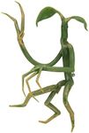 Fantastic Beasts Pickett Bowtruckle