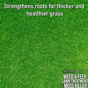 Pro-Kleen 4-in-1 Lawn Treatment, Weed & Moss Killer, Fertiliser, 2.5kg