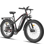 FREESKY Electric Bike for Adults 1200W, 48V 23AH Removable Battery Ebike, 26" Fat Tire Adult Electric Bicycles, 30 MPH/48 KMH Beach Mountain E Bike with Dual Hydraulic Disc 180mm Brakes