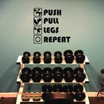 Push Pull Legs Workouts