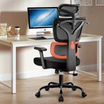 Winrise Office Chair Ergonomic Desk