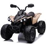 Voltz Toys ATV Ride-on Toy Car for Kids, 24V Licensed Can-Am Renegade Off-Road Battery Powered Electric Truck with LED Lights, and MP3 Player