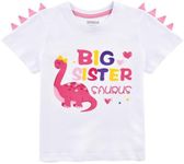 WAWSAM Dinosaur Big Sister Announce