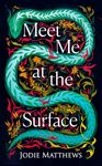 Meet Me at the Surface: A haunting literary debut novel