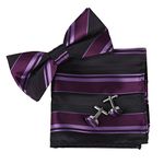 EBC1052 Purple Striped Woven Silk Business- Casual Gift Pre-tied Bow Tie By Epoint