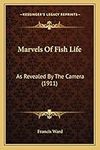 Marvels Of Fish Life: As Revealed B