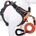 Dog Running Belt