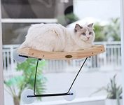 pecute 2 in 1 Cat Window Bed - Sunny Seat + Sisal Cat Scratcher, 42x30cm Cats Hammock Kitten Mounted Bed Scratching Pad, Sturdy with Wood Frame Suction Cup, Easy to Assemble - Hold Pets Up 15KG