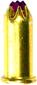 .22 Calibe