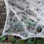 Spider Webs Halloween Decorations,3