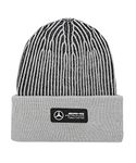 Puma Unisex's Beanie Hat (2405902_Mercedes Team Silver