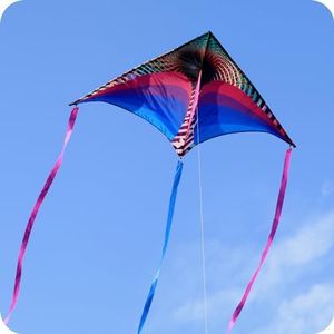 ORGCLDKT Rainbow Cruiser Delta Kite-Violet Votex, Kites for Adults,Kites for Kids, Ages 8-12,Ages 4-8,Ages 3-5,Easy to Fly,Beach Kites,Kids Gift Kite,Free Stacking Kit,Functional&Decorative Tails.