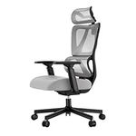 ProtoArc EC100 Ergonomic Office Chair – Computer Desk Chair for Work with 10cm Thicker Spring Cushion, Lumbar Support, Adjustable Armrest & Headrest, Swivel Mesh Chair for Home Office, Grey