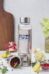 Other Fruit Infuser Bottles