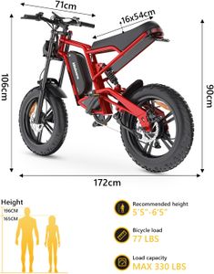 Hidoes B6 Fat Tire Electric Bike – All-Terrain E-Bike for Adults