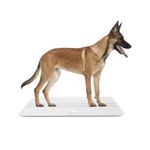 Dog Scale for Large Dogs Rechargeable Digital pet Scale 220Lbsx0.2Lbs,27x13inches.