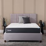 Lucid Mattress Walmart