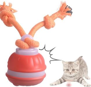 Dog Ball Toy Tail 2.0 Dog Toy, 2025 New Smart Interactive Cats Toys Ball, Squeaky Toy Electric Automatic Rolling Moving Pet Toy Balls with Rope for Cats and Medium Small Dogs Puppy (Orange, 2pcs)