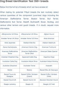 AffinityDNA Dog Breed DNA Test Kit – Accurate Canine Ancestry Analysis
