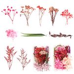 2 Boxes Dried Flowers Real Natural Dry Flowers Leaves Colorful Real Dried Pressed Flowers Plant DIY Crafts Materials Dried Floral Decorations For Resin Crafts Candle Making Gift Card(16-20 Different Kinds)