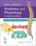 Human Anatomy And Physiology Textbook