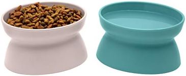 Kitty City Raised Cat Food Bowl Col