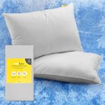 Cosi Home Cooling Pillow Cases (2 Pack) Q-Max 0.45, Double-Sided for Summer & Year-Round Use, Breathable Cool Silky Pillow Covers, Machine Washable - Grey