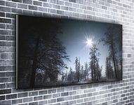 Forest Of The Night Panoramic Canvas Print Original Wall Art Framed XXL 55 inch x 24 inch Over 4.5 ft wide x 2 ft high Ready to Hang